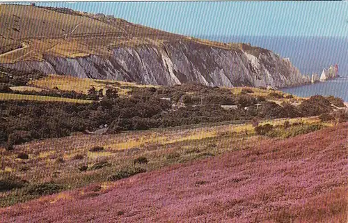 Alum Bay and the Needles, I.W. ngl F3143