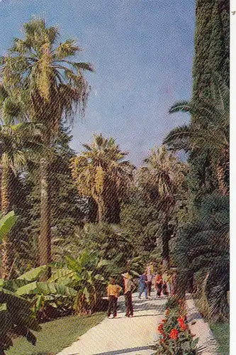 Sochi, Botanic Gardens ngl F4670