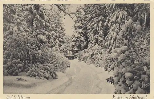 PL Bad Salzbrunn, Partie im Schaffertal ngl G1077