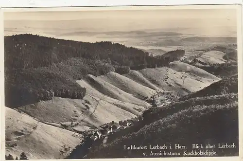 Lerbach im Harz,Blick vom Aussichtsturm Kuckholzklippe gl1933? G2006