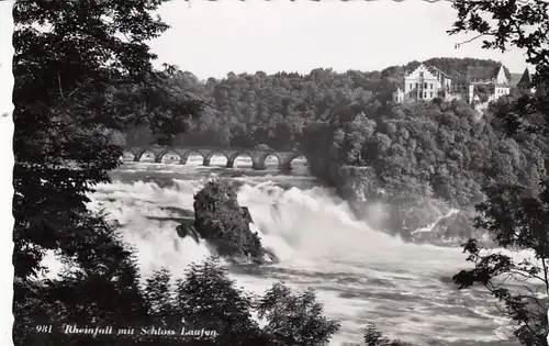 Rheinfall mit Schloß Laufen ngl G4224