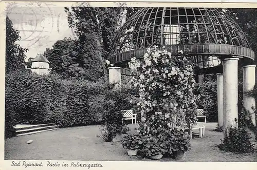 Bad Pyrmont. Partie im Palmengarten gl1961 G3378