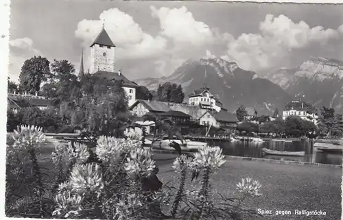 Spiez gegen Ralligstöcke gl1964 G4671