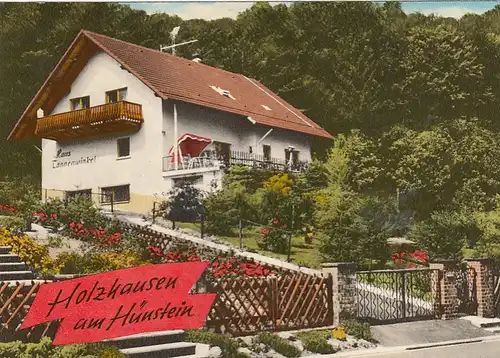 Holzhausen, Hünstein, Haus Tannenwald, Werbekarte ngl G5892