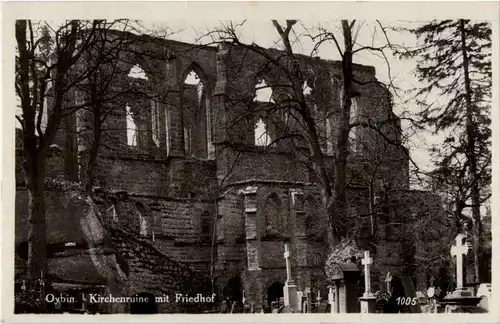 Oybin - Kirchenruine mit Friedhof -61372