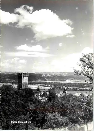 Ruine Schaunberg -43492