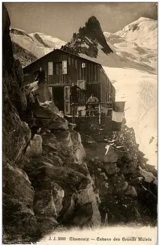 Chamonix - Cabane des Grands Mulets -8566