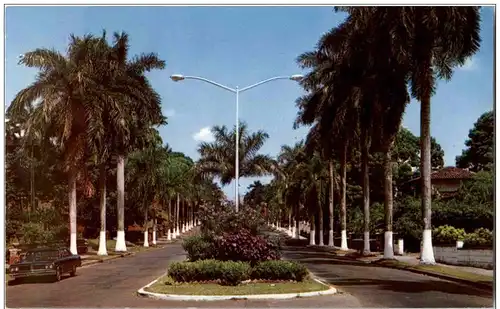 Panama - Avenida Federico Boyd -115288