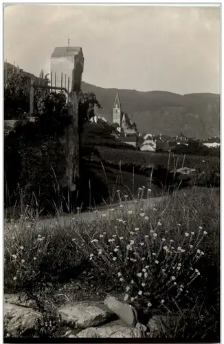 Weissenkirchen Wachau -119048