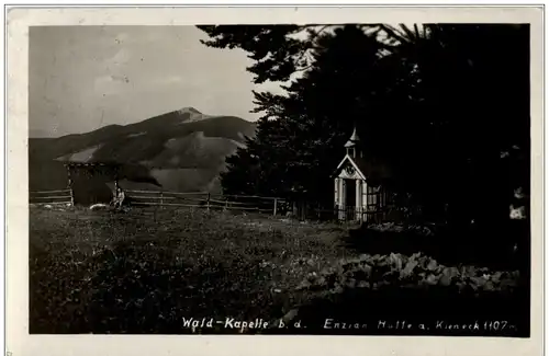 Wald Kapelle Enzian Hütte a Kieneck -119188