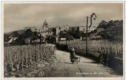 Dürnstein in der Wachau -119058