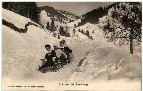 Bobsleigh -129572