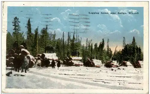 Logging Scene near Antigo -118882