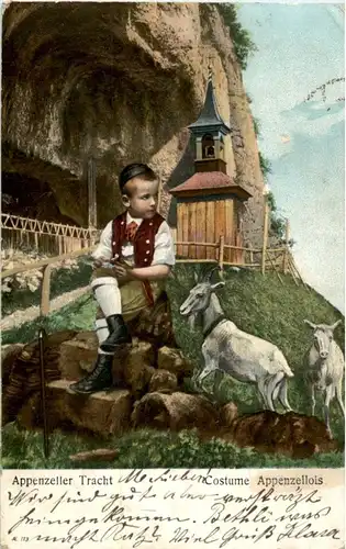 Wildkirchli mit Ziegen - Goat -163766