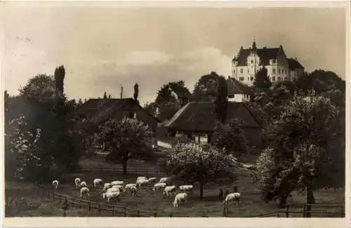 Stettfurt - Schloss Sonnenberg -185804