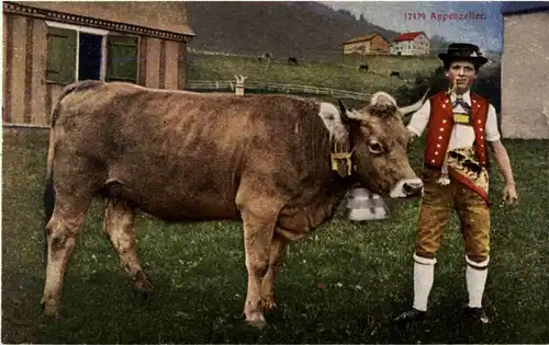 Appenzeller - Kuh -188478