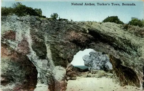 Bermuda - Tuckers Town -23804