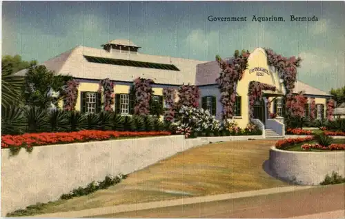 Bermuda - Government Aquarium -23800