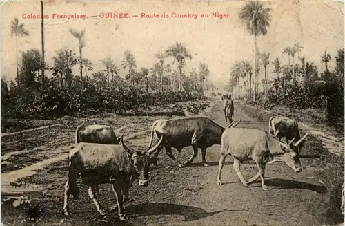 Guinee - Route de Canakry au Niger -218642