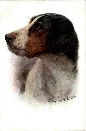 Hund -254104