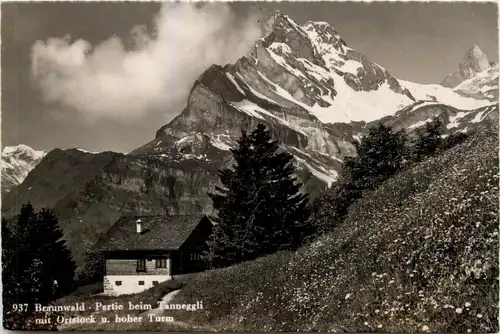 Braunwald -Partie beim Tanneggli -268560