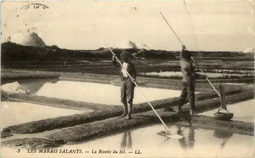 Les Marais Salants - Le Recolte du Sel -269700