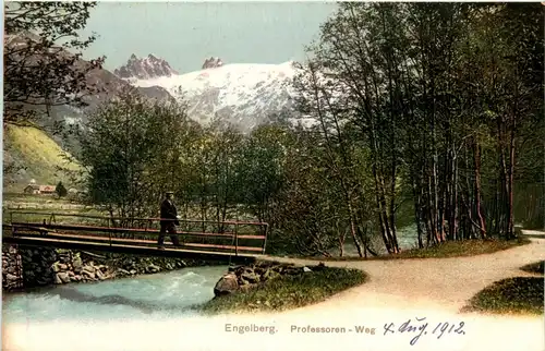 Engelberg - Professoren Weg -273756