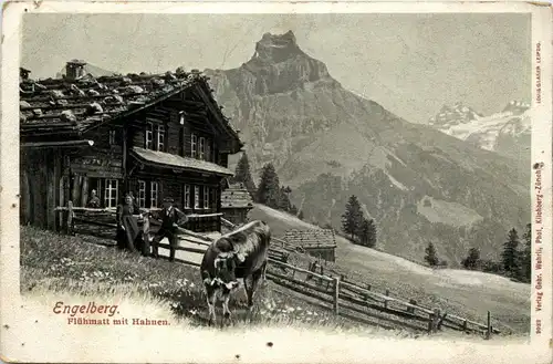 Engelberg - Flühmatt mit Hahnen -274786