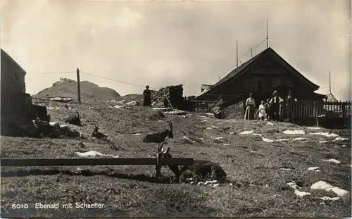 Ebenalp mit Schaefler -275868