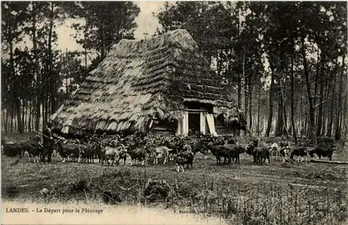 Landes - Le Depart pour le Paturage -221338