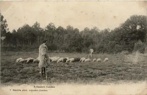 Echassiers Landais -221118