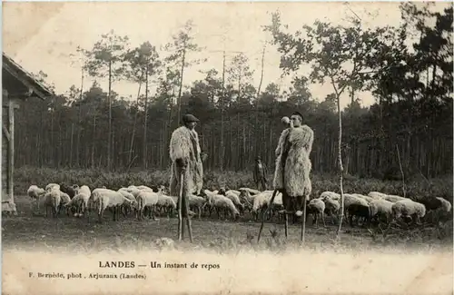 Landes - Un instant de repos -221152