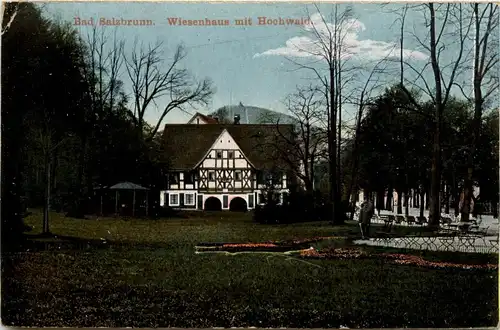Bad Salzbrunn - Wiesenhaus -231860