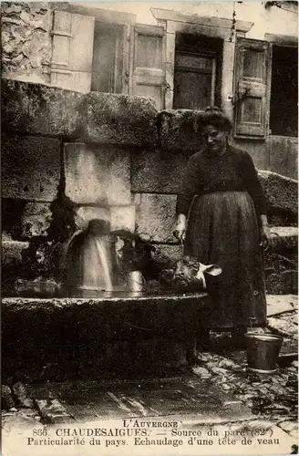 Chaudesaigues - Source du parc -282288