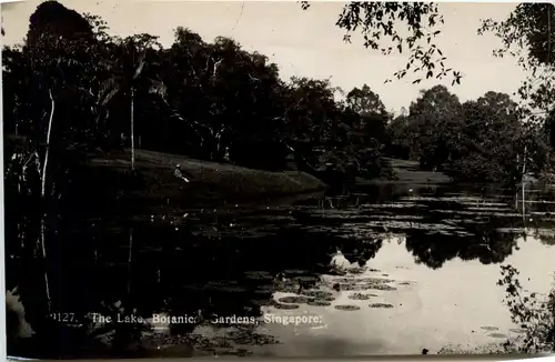 Singapore - Botanic Gardens -283066