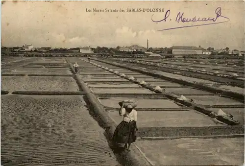 Les Marais Salants des Sables D Olonne -411114