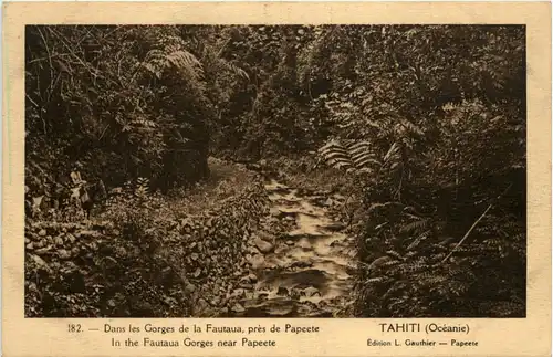 Tahiti - Gorges de la Fautaua -82000