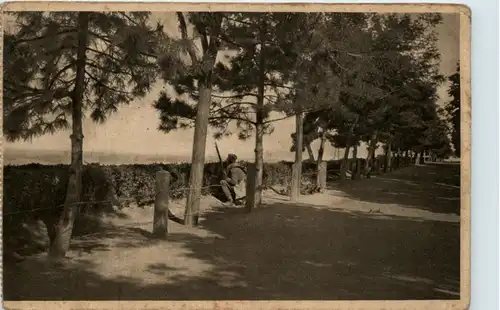 Serbia - Park of Kalimegdan 1914 -430140