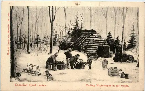 Boiling Maple sugar in the woods - Canada -81158