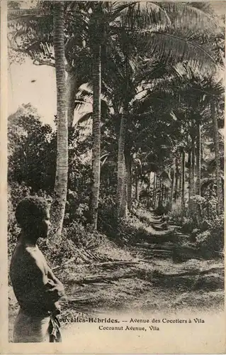 Vanuatu - Nouvelles-Hebrides - Avenue des Cocotiers a Vila -432812