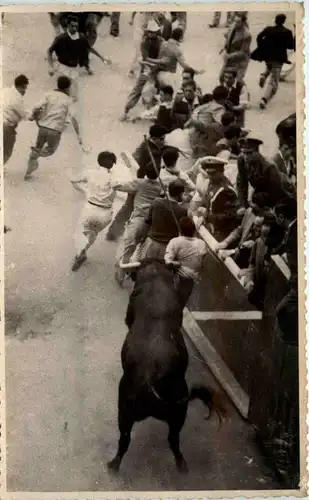 Pamplona - Toros -431760