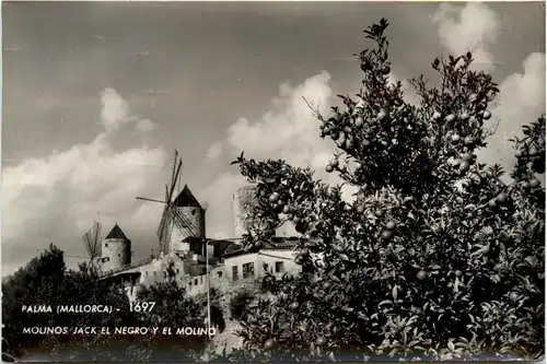 Mallorca - Palmaar -431936