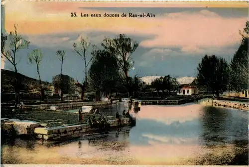 Les eaux douces de Ras el Ain -433374