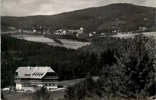 Steiermark/div.Orte und Umgebung - Spital bei Tauchen ,Berghotel Ocherbauer -334898