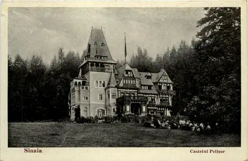 Romania - Sinaia - Castelul Pelisor -434716