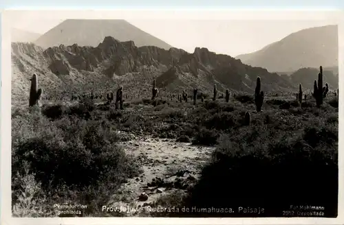 Argentina - Jujuy -435784