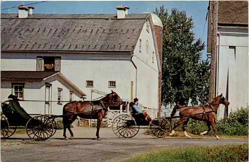 Dutch Country - Amish -436634