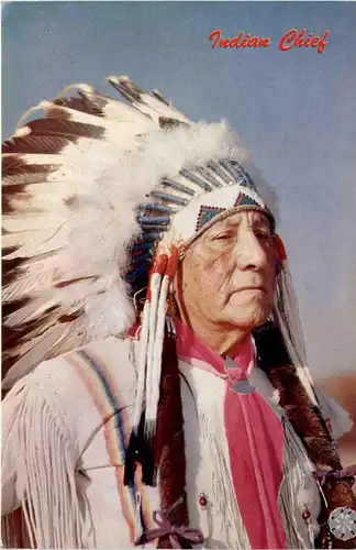 Indian Chief -437024