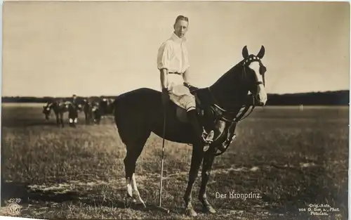 Unser Kronprinz Polo -411784