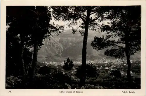 Soller -441880